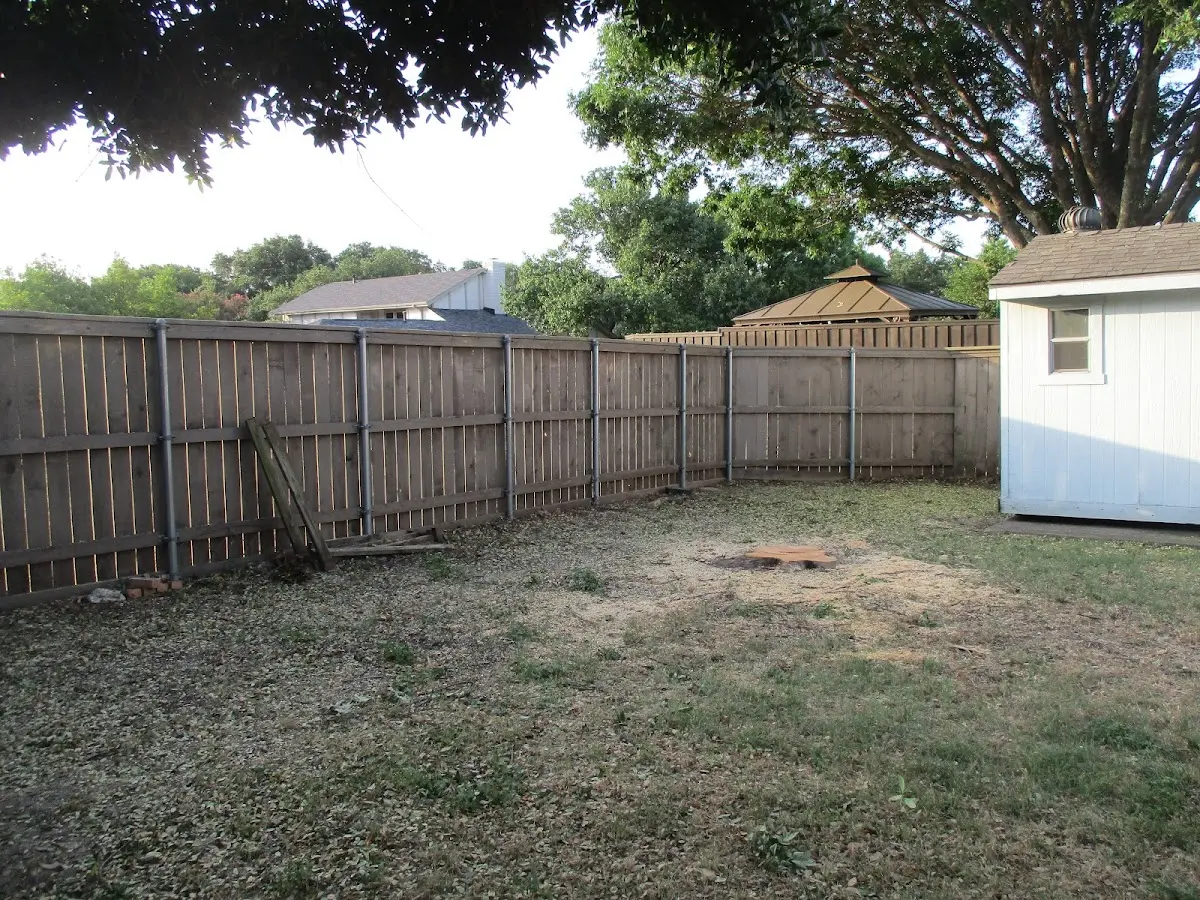 Cleared yard after professional tree removal in West Stockbridge